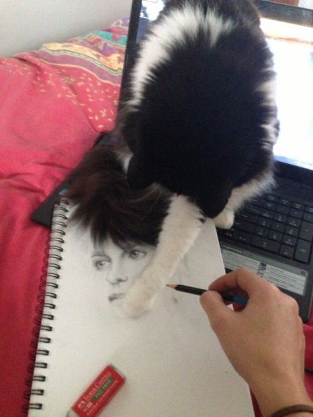 Morning Picdump