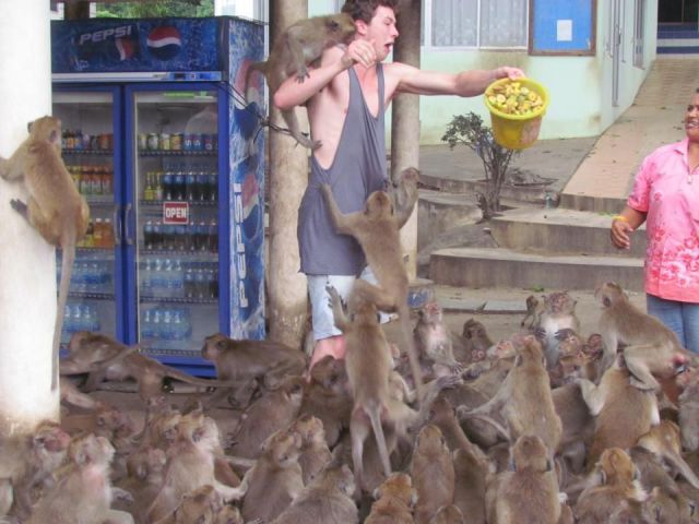 Morning Picdump