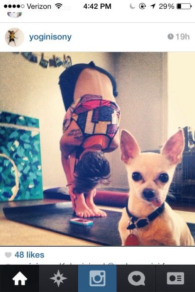 Morning Picdump