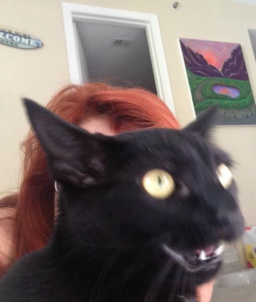 Morning Picdump