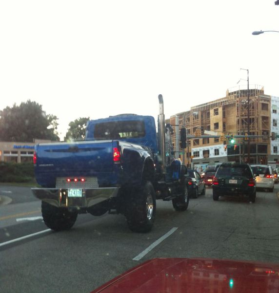Morning Picdump