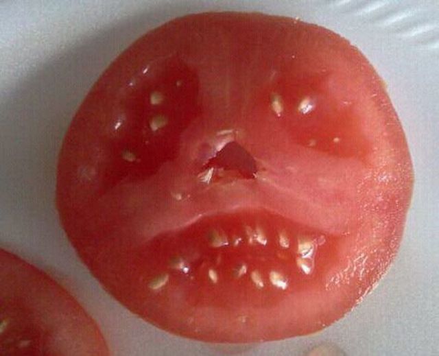 morning picdump 63 pics 31.html - 63 HD Photos | Premium Gallery 2013