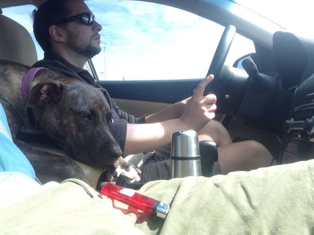 morning picdump 63 pics 31.html - 63 HD Photos | Premium Gallery 2013