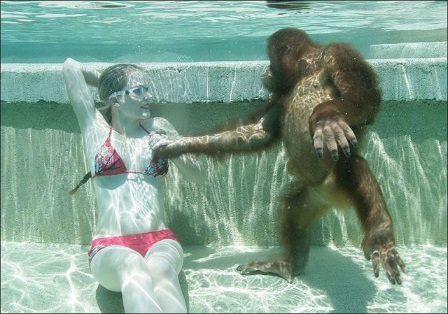 morning picdump 63 pics 31.html - 63 HD Photos | Premium Gallery 2013