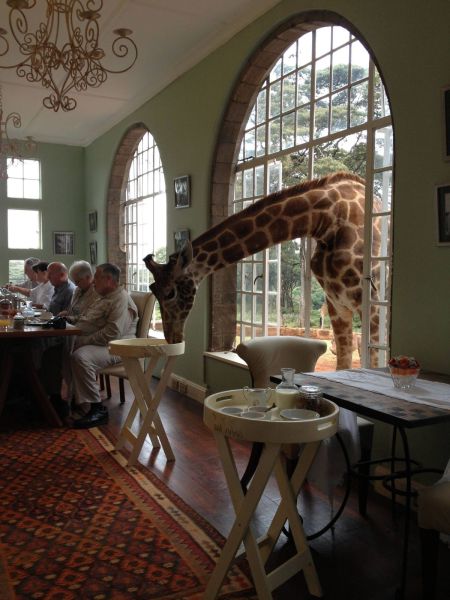 morning picdump 63 pics 31.html - 63 HD Photos | Premium Gallery 2013