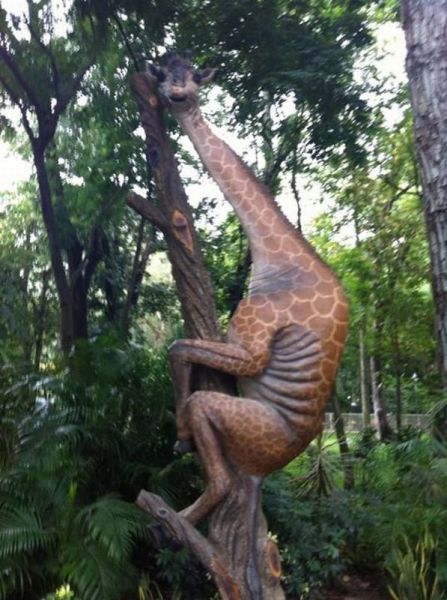 morning picdump 63 pics 31.html - 63 HD Photos | Premium Gallery 2013