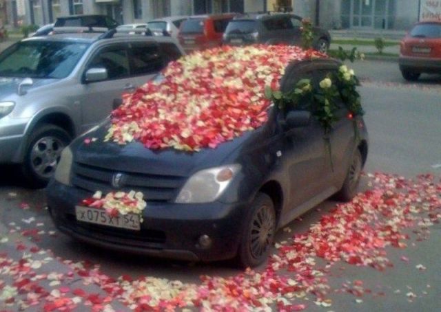 Morning Picdump