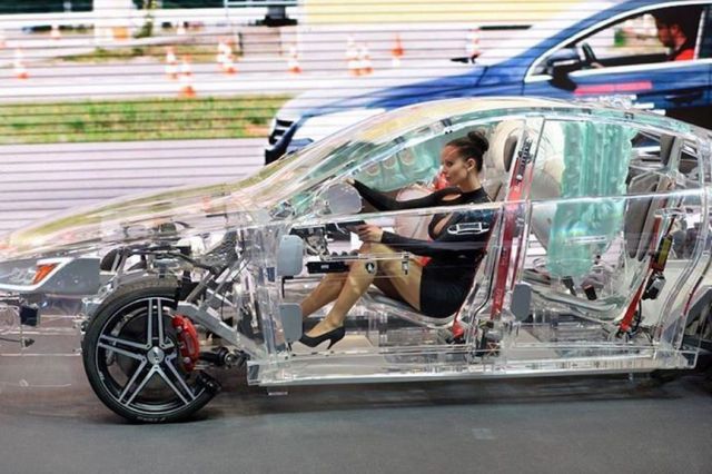 Morning Picdump