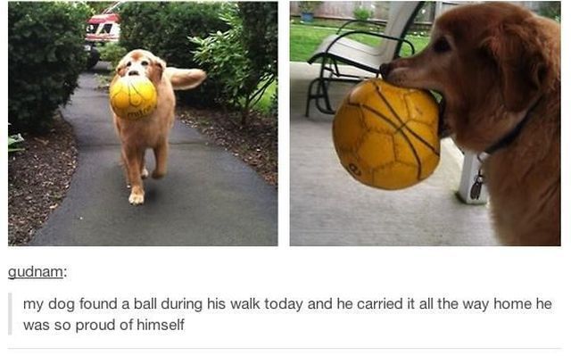 Morning Picdump