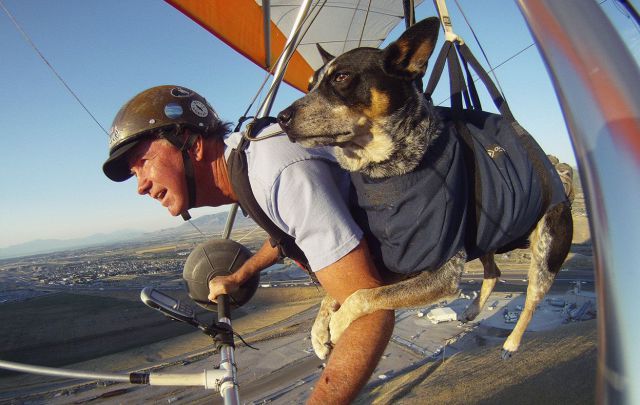 Morning Picdump