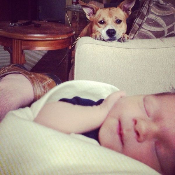 Morning Picdump