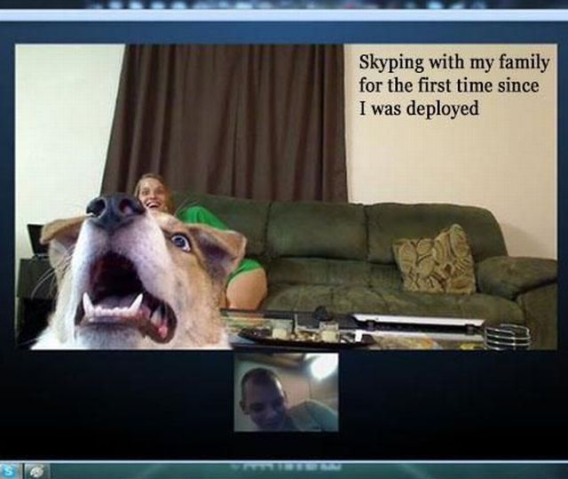 Morning Picdump