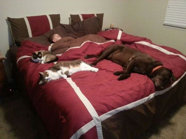 Morning Picdump