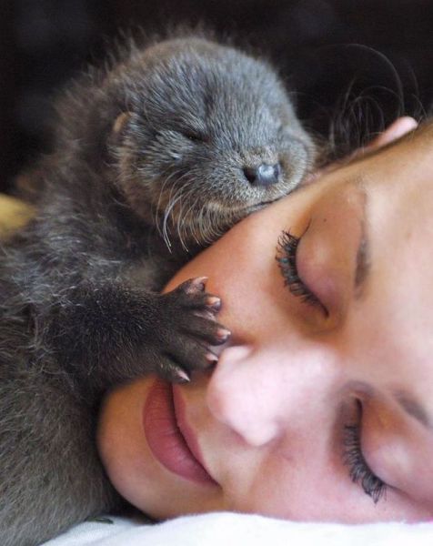 morning picdump 59 pics 17.html - 59 HD Photos | Premium Gallery 2013