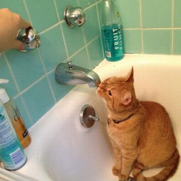 morning picdump 59 pics 17.html - 59 HD Photos | Premium Gallery 2013