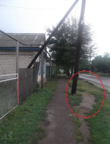 morning picdump 59 pics 17.html - 59 HD Photos | Premium Gallery 2013