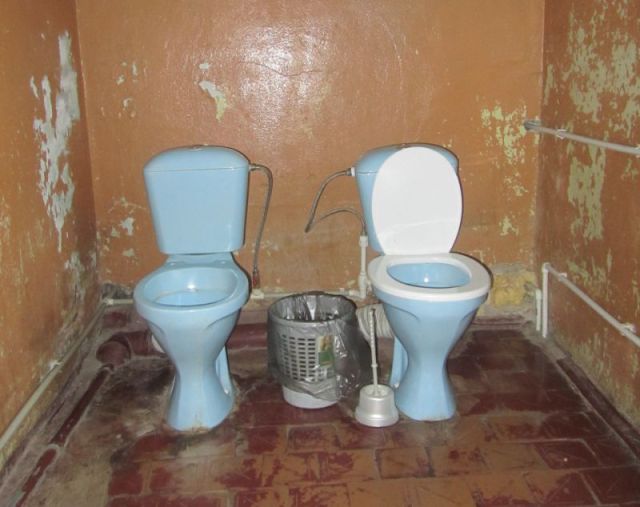 Morning Picdump