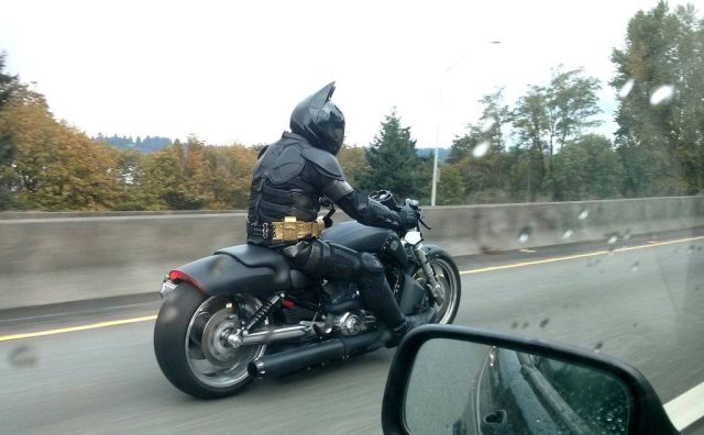 Morning Picdump