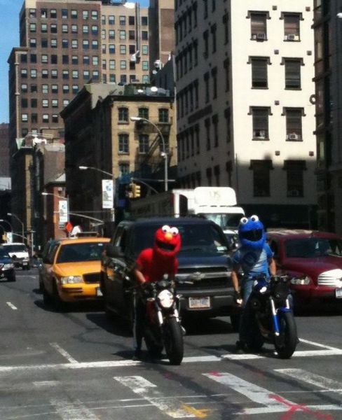 Morning Picdump