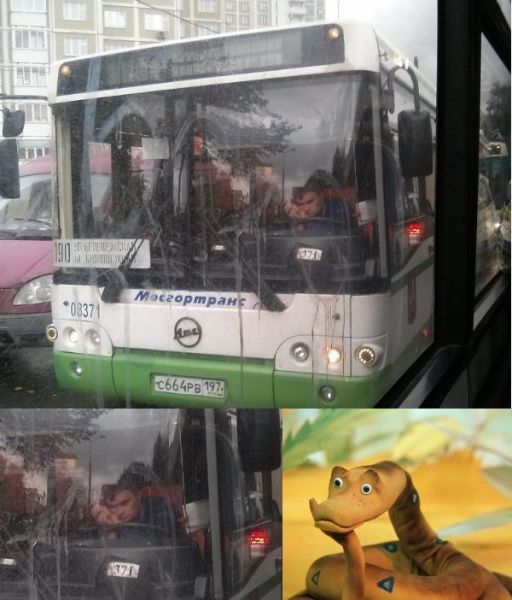 morning picdump 57 pics 18.html - 57 HD Photos | Premium Gallery 2013