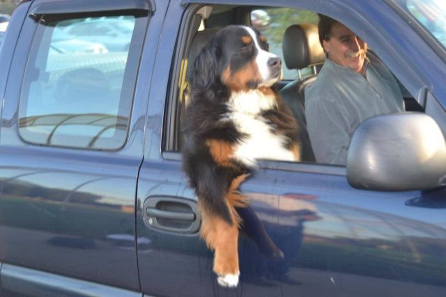 morning picdump 57 pics 18.html - 57 HD Photos | Premium Gallery 2013