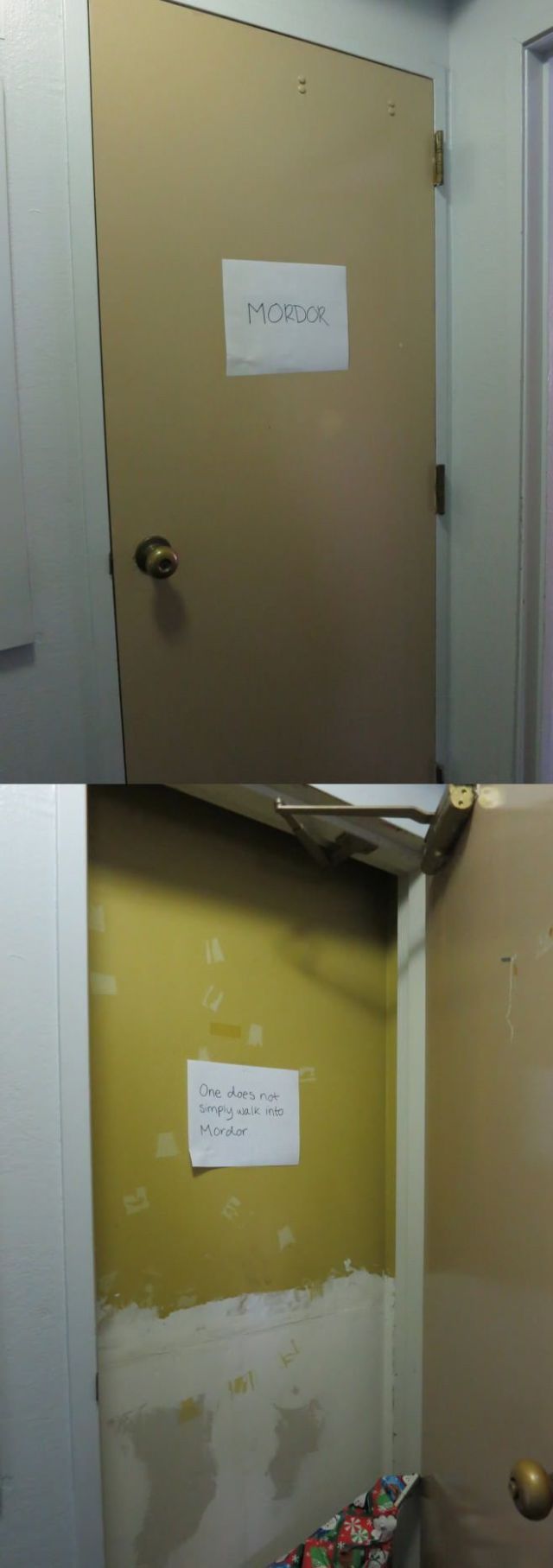 Morning Picdump