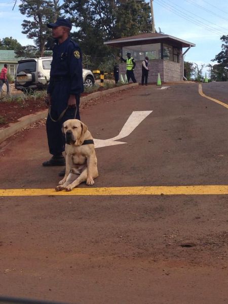 morning picdump 57 pics 7.html - 57 HD Photos | Premium Gallery 2013