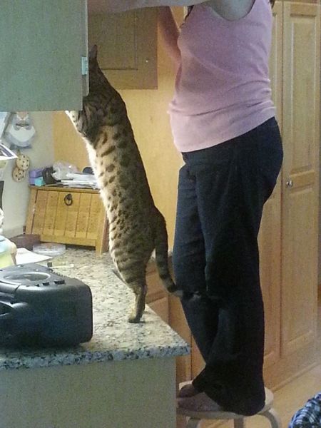 morning picdump 57 pics 24.html - 57 HD Photos | Premium Gallery 2013