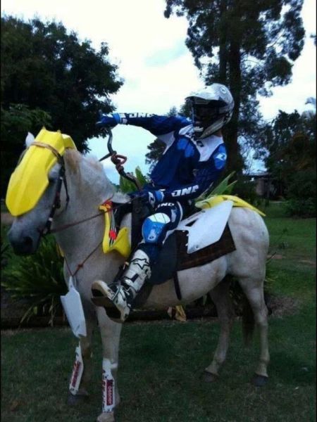 Morning Picdump