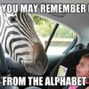 funny picdump 60 pics.html - 60 HD Photos | Premium Gallery 2019