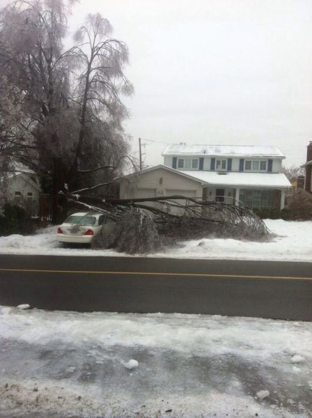 Morning Picdump