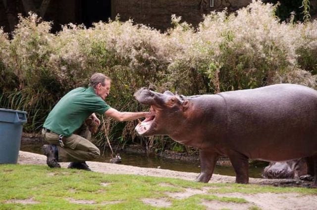 daily picdump 99 pics 47.html - 99 HD Photos | Premium Gallery 2014