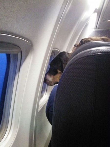 daily picdump 99 pics 47.html - 99 HD Photos | Premium Gallery 2014