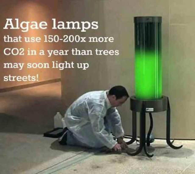 Weird Things That Are Absolutely Real!