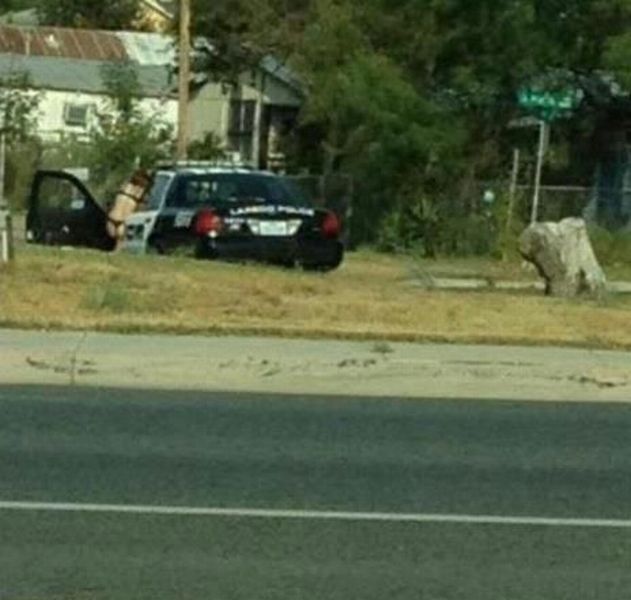 grownup corner 47 pics 6 gifs 3 videos 14.html - 47 HD Video | Premium Gallery 2014