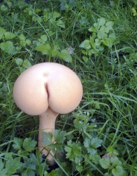 Innocent Pictures That Could Be Almost Naughty