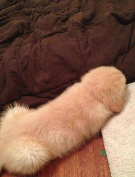 Innocent Pictures That Could Be Almost Naughty