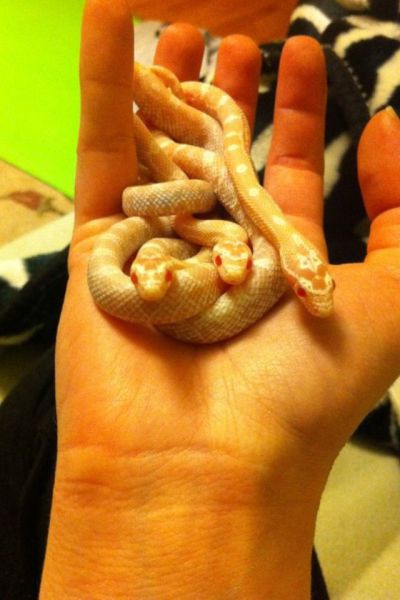 morning picdump 54 pics 15.html - 54 HD Photos | Premium Gallery 2014