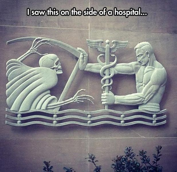 Morning Picdump