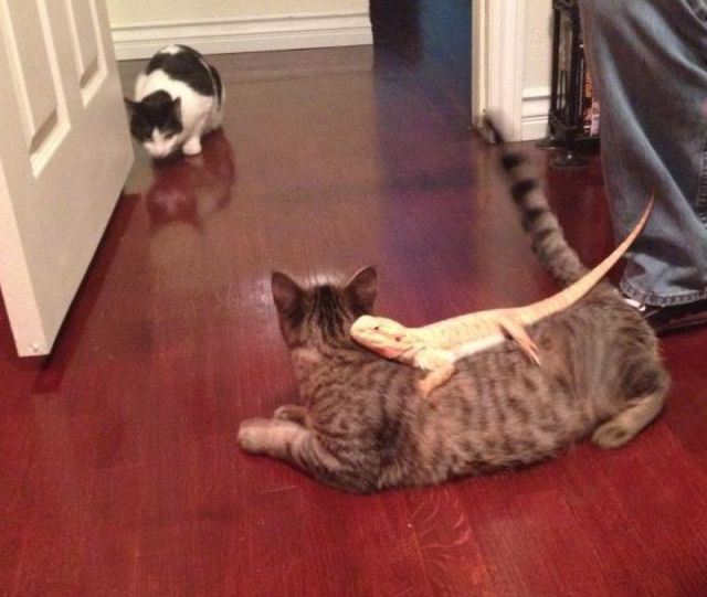 Morning Picdump