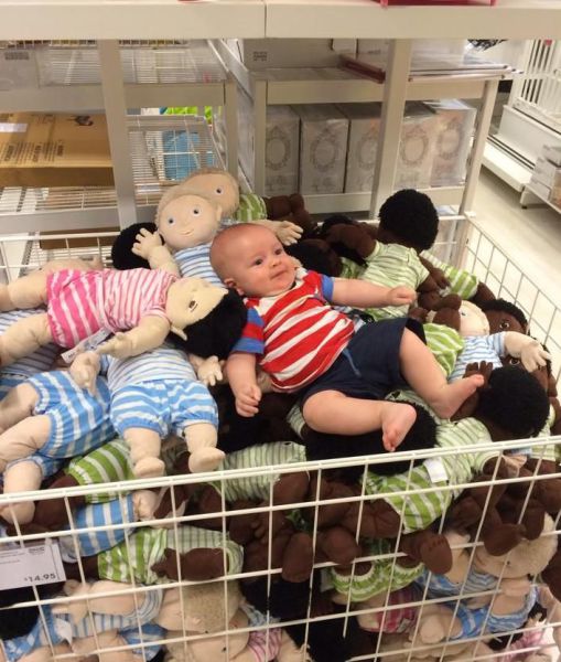 Morning Picdump