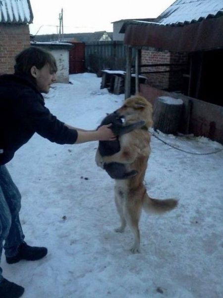 Daily Picdump