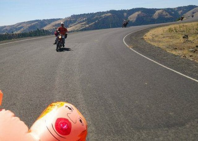 Daily Picdump