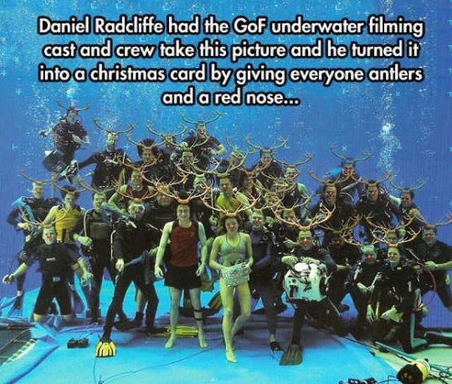 Daily Picdump