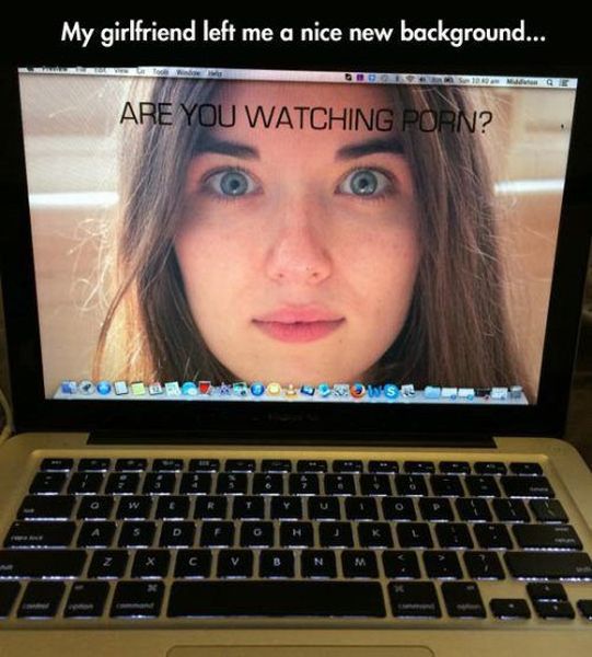 Daily Picdump