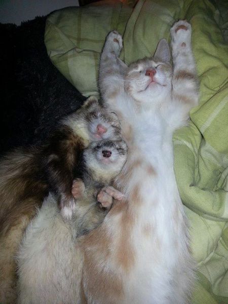 Morning Picdump