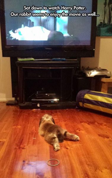 Morning Picdump
