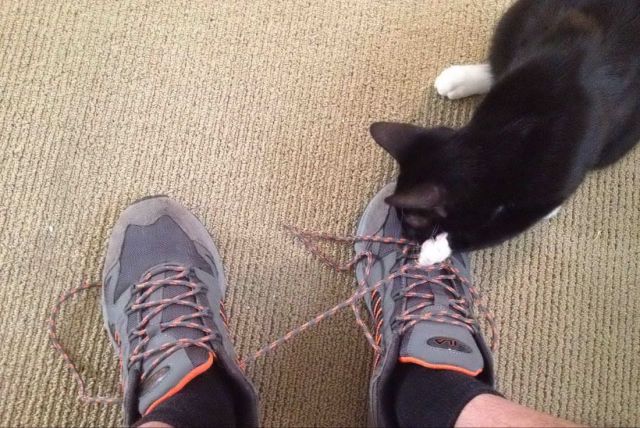 Morning Picdump