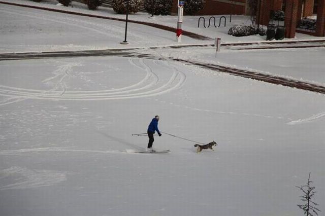 Morning Picdump