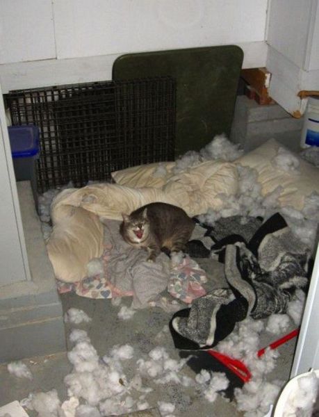 Morning Picdump